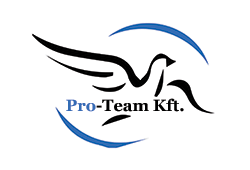 Pro Team